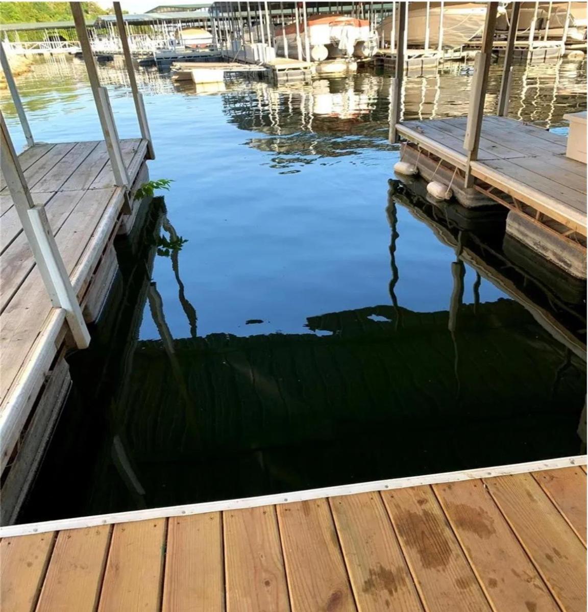 The Best Lake View In Ozark. بحيرة أوزارك المظهر الخارجي الصورة